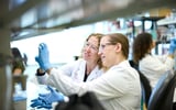 Tuberculosis: The world's deadliest disease is once again on the rise