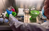 Duke HIV scientist searches for funds after Trump ends landmark vaccine program - NewsBreak
