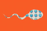 Male birth control gel is safe and effective, new trial findings show