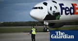 New pair of pandas arrives from China to Washington after 11-month hiatus