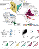 Mapping glycoprotein structure reveals Flaviviridae evolutionary history