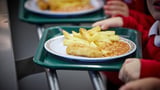 All 15 new school dinner rules in England explained – including chicken nuggets limit and fish & chips BAN
