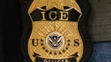 ICE arrests jumped to nearly 50,000 in July, the highest monthly total of Trump’s second term