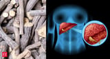 Giloy: The 'most dangerous' Ayurvedic herb? Top hepatologist warns it can harm your liver
