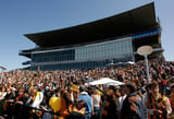AFL announces purchase of Waverley Park