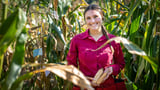 Unlocking Heirloom Corn’s Untapped Potential