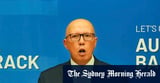 ‘Nasty’: Albanese rejects Dutton’s claim he is at fault for all antisemitism