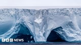 A23a: Giant iceberg on collision course with island - penguins and seals in danger