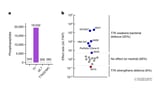 Virus deploys a ‘loose cannon’ enzyme to overpower bacterial defences