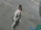 Alana Armstrong: Police release CCTV as they hunt young mother’s killer after e-bike hit-and-run