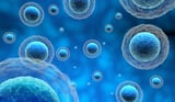 Intercellular Communication via Condensate Corona-Nanoparticle Complexes