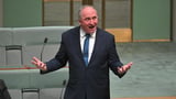 Labor accused of sidestepping climate action in seizing on Coalition divisions over Joyce’s net zero bill