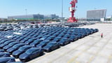 Tesla Starts Leasing Used Cars in Attempt To Move Inventory: TDS