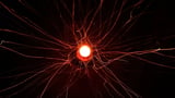 After 50 Years, Physicists Find Strong Evidence For What Really Holds Matter Together