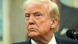 What is habeas corpus, the legal procedure Trump is considering suspending?
