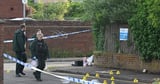 Belfast stabbing victim suffered 'significant eye injuries' in 'attempted beheading'