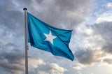 Somalia cancels UAE security deals over sovereignty concerns | News.az