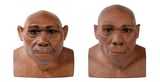 Protein reveals the oldest episode of sex and procreation among human species