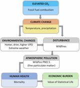 Anthropogenic climate change contributes to wildfire particulate matter and related mortality in the United States