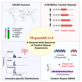 Research team builds first tandem repeat expansions genetic reference maps