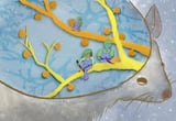 Artificial hibernation reveals secrets of long-term memory