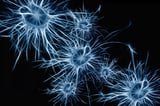 New protein interaction map sheds light on how brain cell communication breaks down in Alzheimer's disease