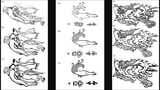 Tattoo artists and scientists resurrect a 2,000-year-old mummy’s ink