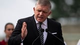 EU's main center-left political group expels Slovak leader's party | AP News