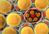Aggressive Breast Cancers Steal Energy from Nearby Fat Cells
