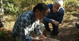 Scientists focus on genetically engineering mice to cut Lyme disease transmission