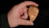 1.5 million-year-old stone tools from mystery human relative discovered in Indonesia &mdash; they reached the region&hellip;