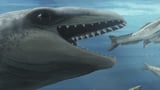 New fossil discovery reveals tiny ancestor of modern whales | AP News