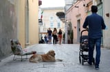 Italy's Demographic Crisis Worsens as Births Hit Record Low