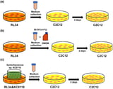 Sustainable system uses photosynthetic microorganisms for eco-friendly cultured meat production