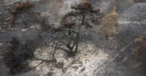Stay away from Dunwich Heath amid ongoing fire risk, warns National Trust