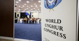World Uyghur Congress urges European insurers to reassess ties with Hikvision and Dahua over human rights and cybersecurity concerns