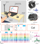 A generic non-invasive neuromotor interface for human-computer interaction