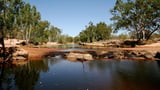 Man found alive days after jumping into croc-infested waters