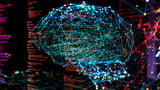 State’s big call on AI amid crisis