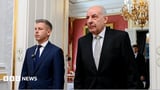 Hungary parliament votes to remove president from office