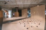 New Exhibition Examines Adaptation In Era Of Change