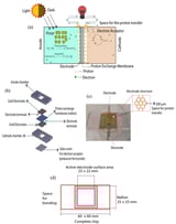 Micro Photosynthetic Power Cell Array for Energy Harvesting: Bio-Inspired Modeling, Testing and Verification