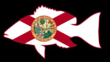 FWC slams 'rogue' judge as red snapper season gets torpedoed on eve of opener