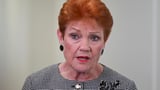 Pauline Hanson accuses Treasurer Jim Chalmers of being ‘hysterical’ after he slams One Nation’s super plan