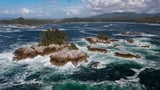 Great Bear Sea waters move closer to federal protection