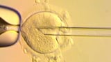 Healthy babies born in Britain after scientists used DNA from three people to avoid genetic disease