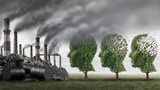 Smog in the brain: Dirty air speeds Alzheimer’s decline