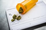 Pot's Potential Against Cancer Isn't Just Fighting Symptoms
