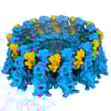 Microprotein adipogenin found to regulate fat storage in cells