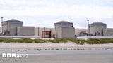 Jellyfish force French nuclear plant to shut down
